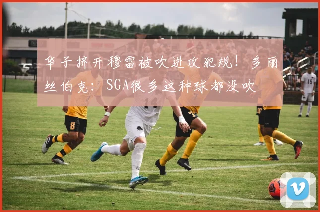 华子挤开穆雷被吹进攻犯规！多丽丝伯克：SGA很多这种球都没吹