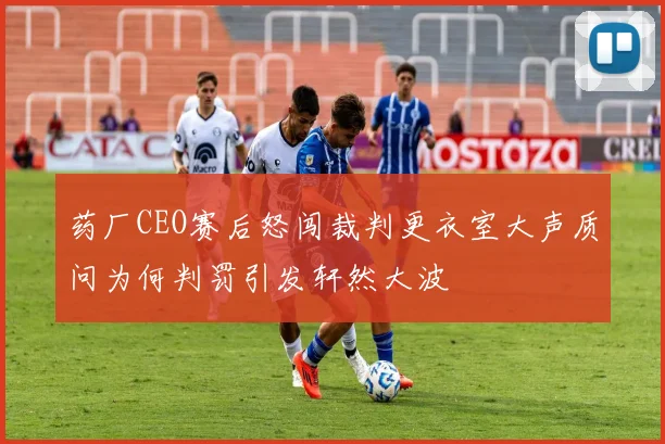 药厂CEO赛后怒闯裁判更衣室大声质问为何判罚引发轩然大波