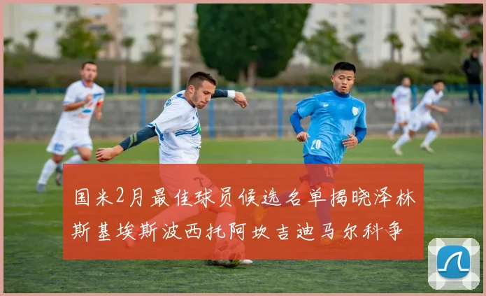 国米2月最佳球员候选名单揭晓泽林斯基埃斯波西托阿坎吉迪马尔科争夺荣誉