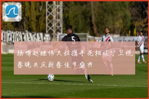 杨鸣赵继伟夫妇携手亮相辽宁卫视春晚共庆新春佳节盛典