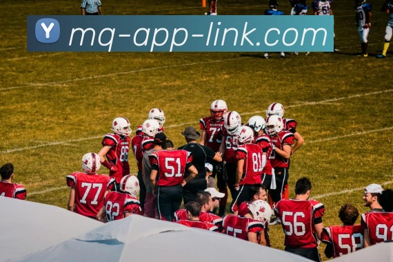 多媒体互动体验